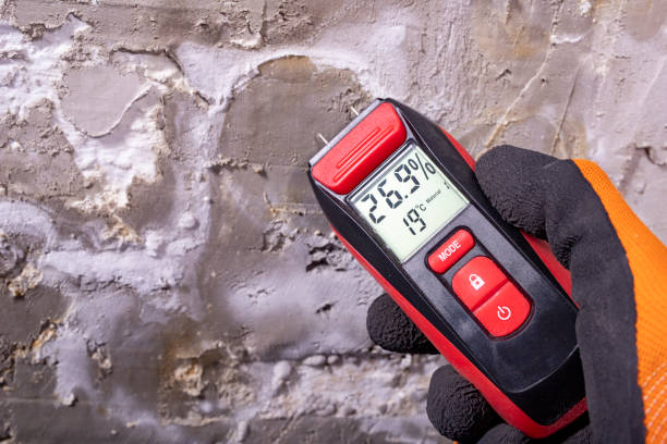 Best Emergency Mold Removal  in Marshalltown, IA