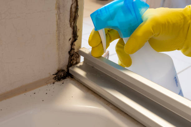 Best Toxic Mold Removal  in Marshalltown, IA