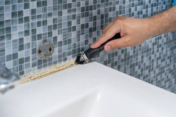 Best Same-Day Mold Removal  in Marshalltown, IA